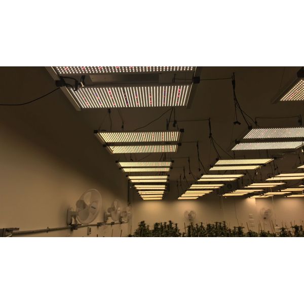 СИД доски Samsung LM301B Кванта растет света Osram 660nm 730nm Сеул УЛЬТРАФИОЛЕТОВОЕ 395nm