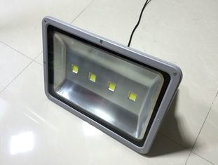 Epistar Dia Casting RGB Led Flood Lights With RF / IR / Dmx512 Controller