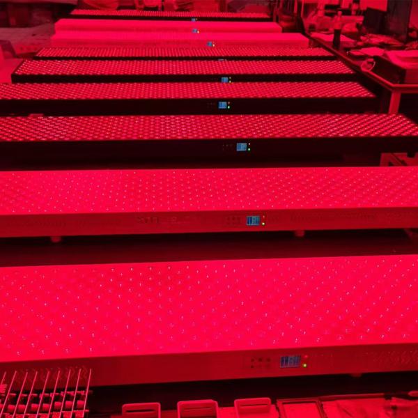Electric Infrared Light Therapy Devices with 20 Minutes Treatment Time and Electric Power 700W