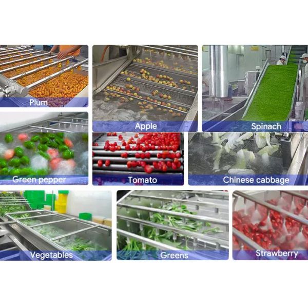 200KG/H el pequeño tipo verdura da fruto acero inoxidable de la lavadora 304