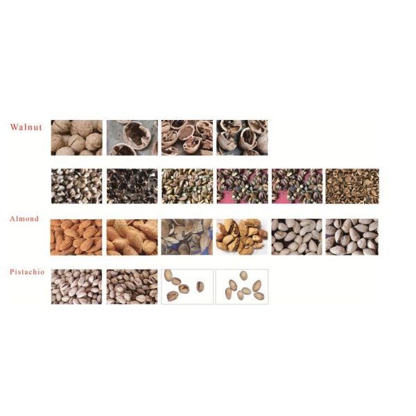 600mm Belt Nuts Color Sorter / 220V Walnuts Peanut Sorting Machine