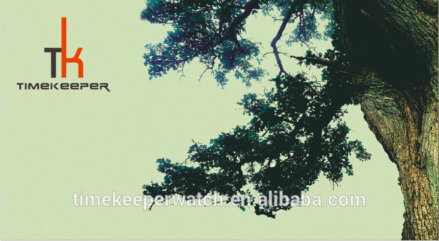 colorful wood watches , sky blue color fashion man watches , custom your own logo