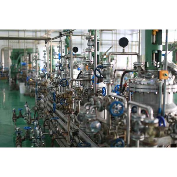 High Purity Alkaline Protease Detergent Enzyme Powder with 12 Months Shelf Life in 25kg Paper Box