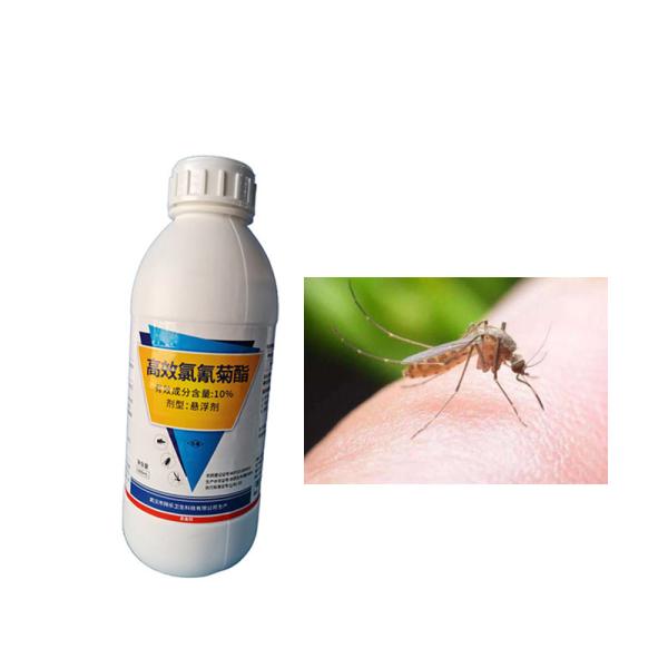 10% Beta Cypermethrin SC Anfíbio doméstico Insecticida Interiores Mosquito mosquito Pestes da cidade