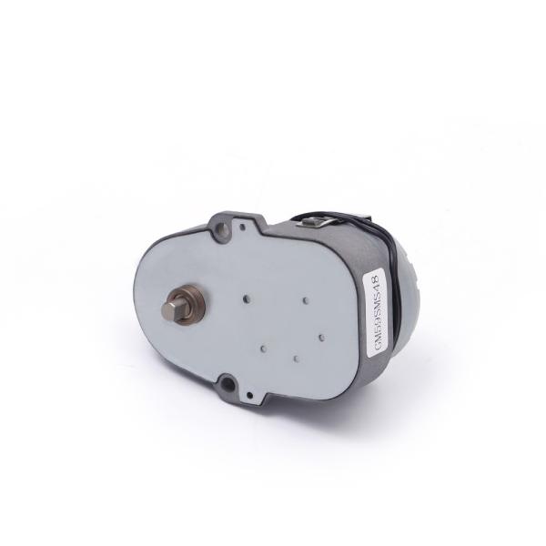 24VAC 110VAC 220VAC Custom Ac Gear Motors GM59SMS48 Synchronous Gear Motor