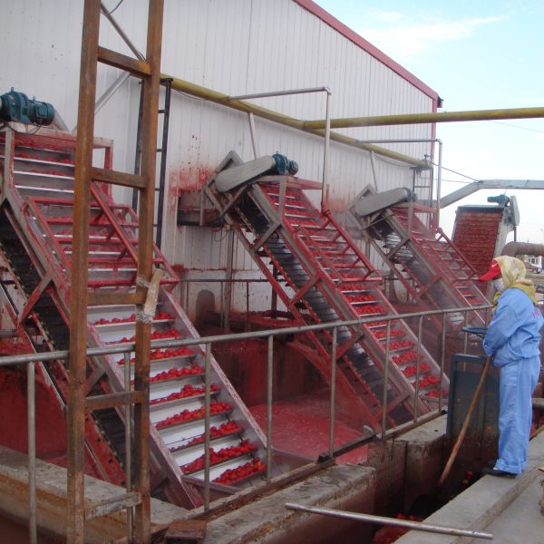 Cost Effective Tomato Sauce Making Machine Tomato Processing Machine Production Line