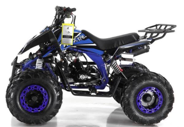 Air Cooled Atv 4 Wheeler Motorcycle 125cc 1500mm Length