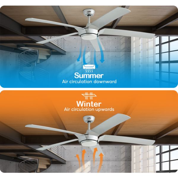 Controle remoto Ventilador de teto LED Alto fluxo de ar 5 lâminas 65 polegadas 2- com luz e controle remoto