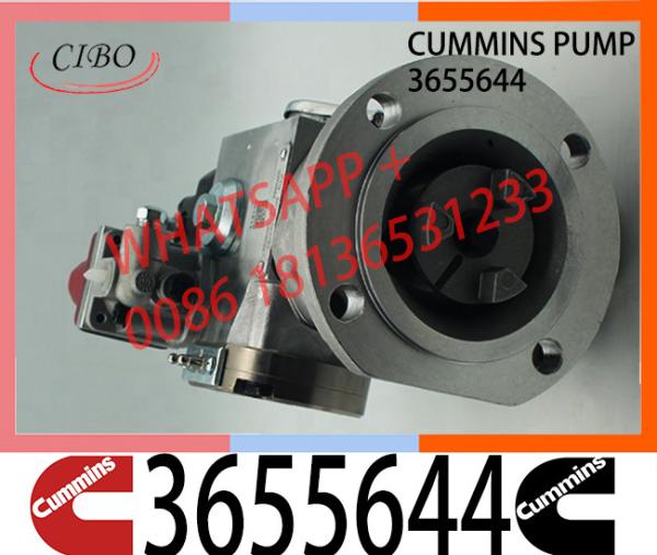 Cummins NTA855 Engine Parts Injection Fuel Pump 3655644