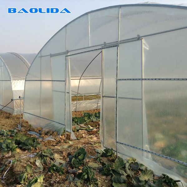 High Tunnel Vegetables Planting Single Span Vegetable Tunnel Plastic Film Greenhouse