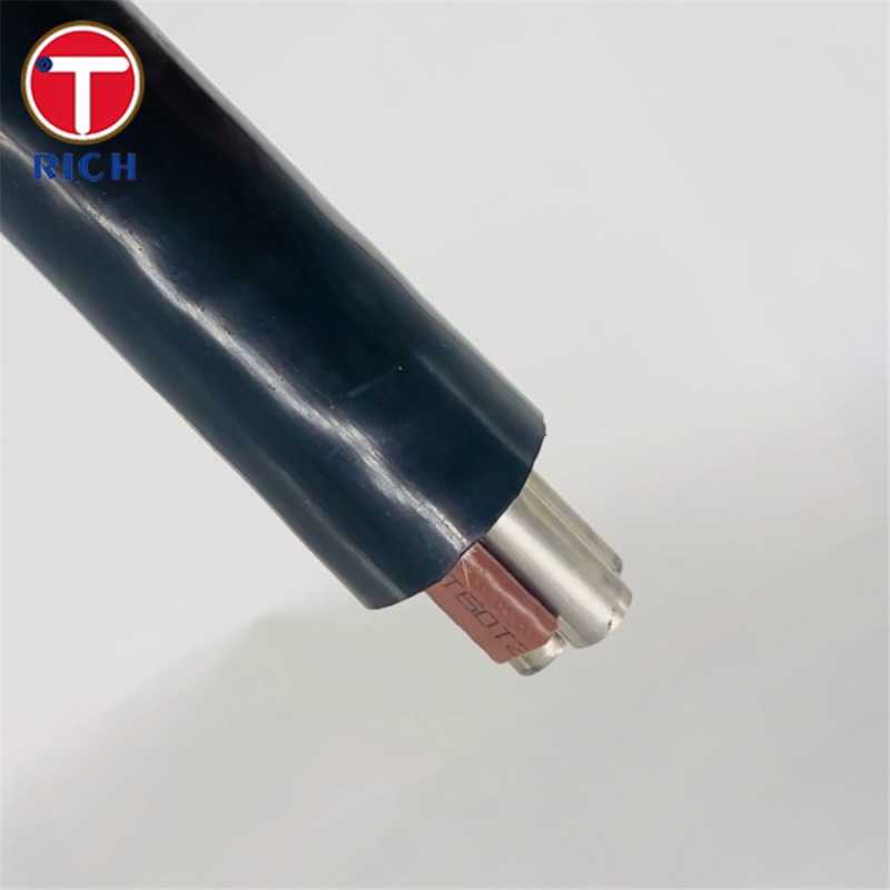 Multi-Core Stainless Steel Seamless Tube with Plastic Coating for Shipbuilding in 304L/316L/Duplex 2205 Grades and Cold Drawn/Hot Rolled Techniques