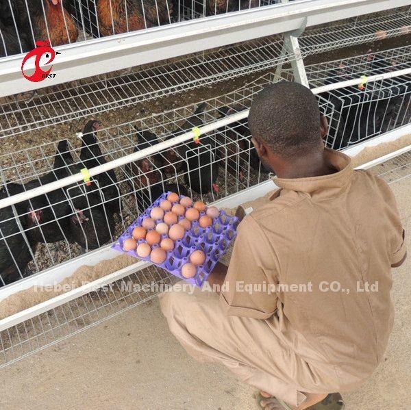 A Type 3 Tiers Layer Chicken Battery Cages 120 Birds 450cm2 Star