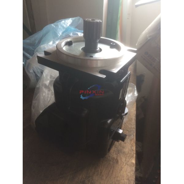 C161504307 Hydraulic Spare Parts Pump with Secure Payments and 20.000kg Gross Weight