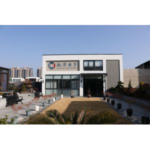 Ningbo Chiyang Electronic Co., Ltd.