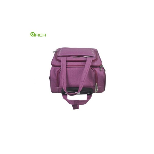 Snowflake 20 Inch Carry On Luggage With Spinner Wheels