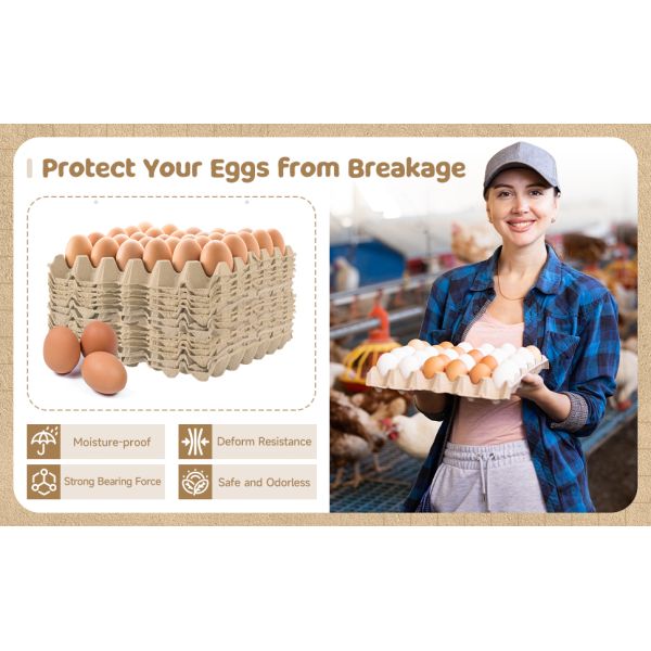 Pack Egg Cartons Crates Bulk 30 Cell Pulp Fiber Egg Flats Reusable Stackable Cardboard Tray For Home Storing Packing Roach Colony Soundproofing