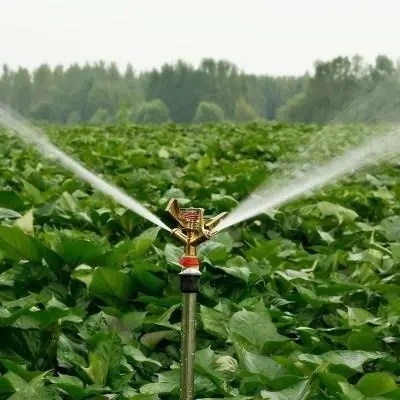 Метод выращивания гидропоники коммерческое отопление садовые стеклянные теплицы для растений