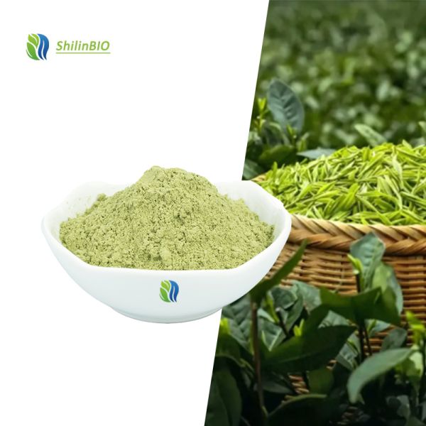 High Quality Green Tea Powder Food Frade Matcha Green Tea Powder