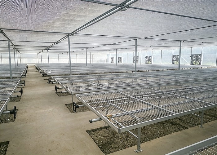 Commercial Greenhouse Bench System | Custom Rolling & Stationary Benches