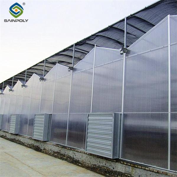 PC Sheet Venlo Greenhouse Large Energy Saving Commercial Polycarbonate Greenhouse
