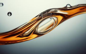 Lipase de esterificação e transesterificação, biodiesel, enzimas industriais