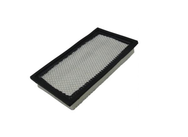 Remplacement du filtre à air FA1883 FA1884 C2788 97VB9601AA 1023134 Durable