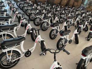Huzhou Thunder Electric Bike Co., Ltd.