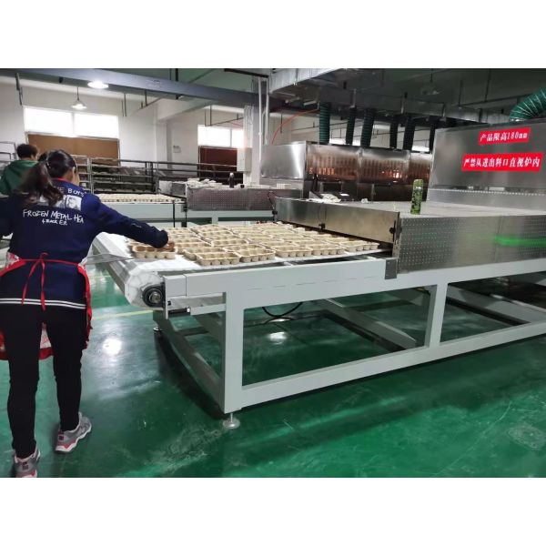 Intelligent Microwave Drying Production Line with Customizable Magnetron Configuration, Automation Integration, and Volumetric Internal Heating