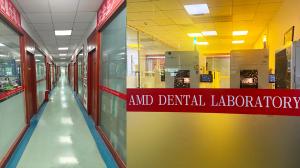 AMD Dental Laboratory