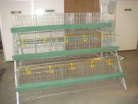 Accesorios automatizados 3 de la granja avícola sistema de la jaula de batería de la capa del huevo del pollo de las aves de corral de 4 gradas para las parrillas