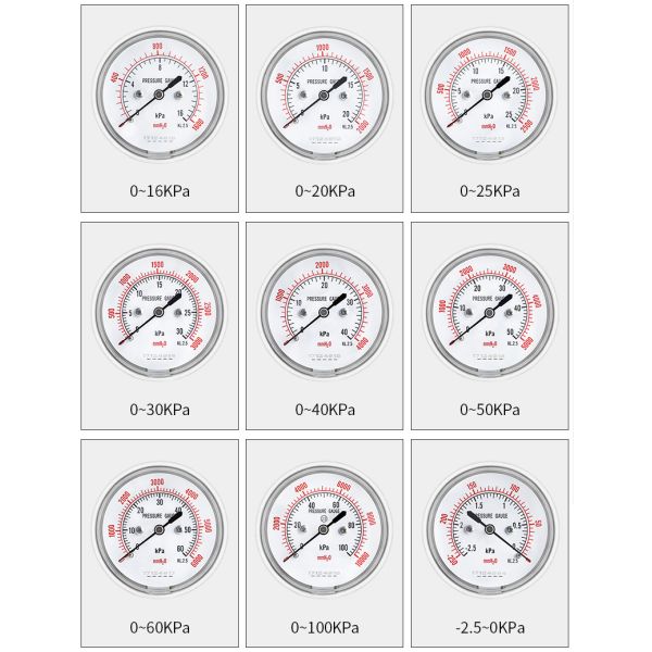 Customized Support OEM 2.5 Inch 65mm Diaphragm Manometer 16kpa Micro Pressure Gauge