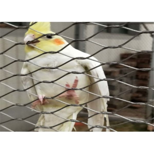 30x30mm Small Bird Eye Size 1.5mm Stainless Steel Wire Rope Mesh