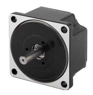 Customized Bldc Gear Micro DC Motor High Torque 3000RPM
