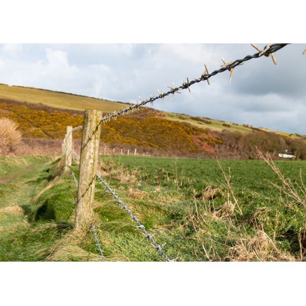 Защита ограждения Строительство двойной нитки обратный поворот ПВХ покрытый колючей проволокой