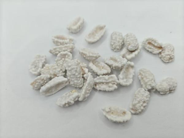 High Protein Milk Coated Peanuts Bulk Packaging Made With Milk Seasoning