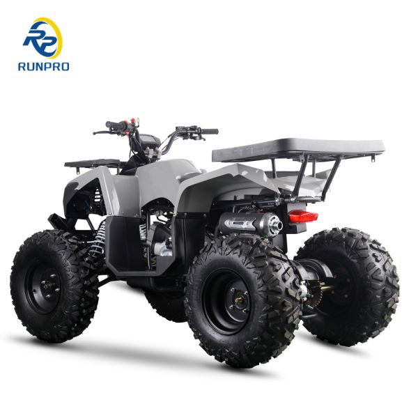 Electric Start 200CC 250CC ATV QUAD BIKE UTV 250CC Payload Capacity for Adult Riders