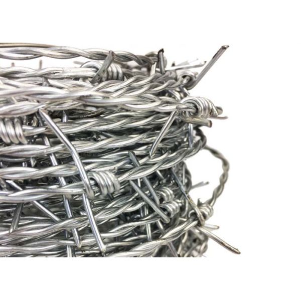 Electro Galvanized Steel Barbed Wire ety 16 X 14 Gauge 25kg / Roll For 
