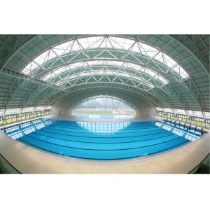 Las claraboyas para piscinas cubiertas mejoran la luz natural y la estética.