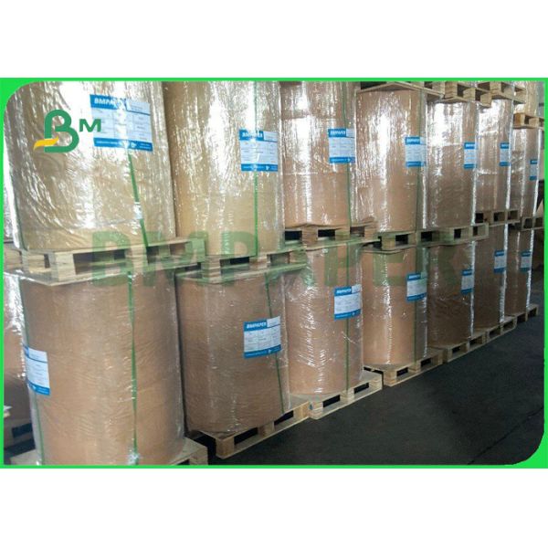 задняя часть доски волдыря 300gsm 350gsm белая на пакет 101 x 72cm зубной щетки