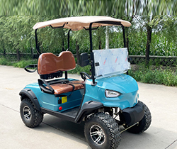 AC Electric Golf Cart with Discounted Bag Push Cart and 10 inch Aluminum Alloy Wheels