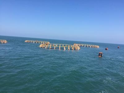 Bracket HDPE Plastic Fish Farming Cage For Breeding Tilapia Fish
