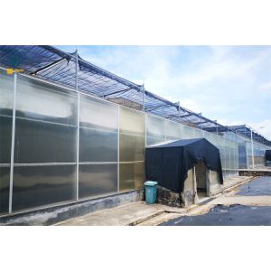 Multi-Span Polycarbonate Greenhouse With Durable Easy Maintenance