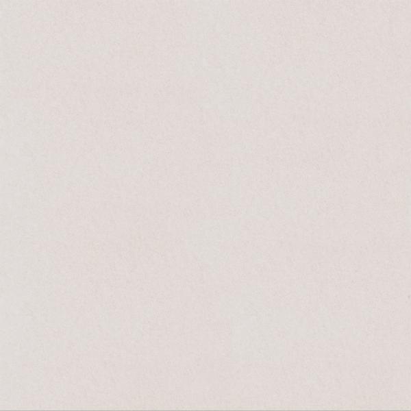 600x600mm porcelain rustic tile,matt floor tile,pure design color,foshan tile