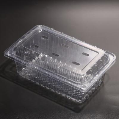 Customizable Clear Plastic Food Container PET Food Packaging Plastic Containers For Food Storage