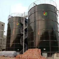 Medidor cúbico do projeto 100-10000 anaeróbico da planta do biogás da digestão da lama de UASB EGSB