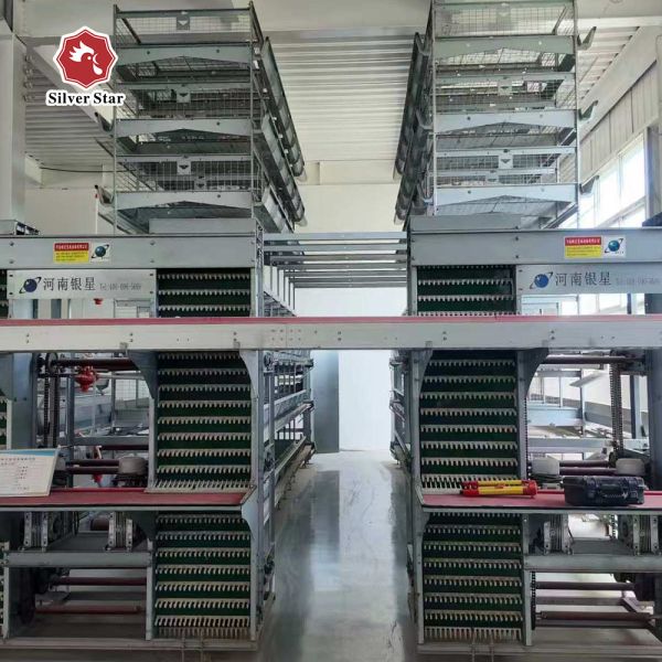 Automatic Poultry Farm Equipment High-Density H-Type Layer Battery Chicken Cage System for Egg Production Farm