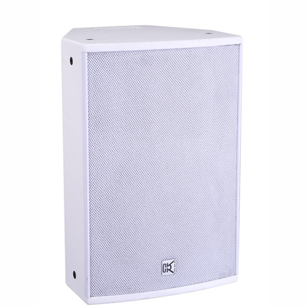2 Way 1000w Full Range Speaker Box