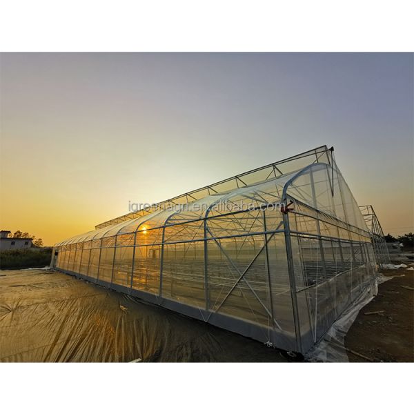 IGreen Plastic Tropical Green House Tropical Complete Green House