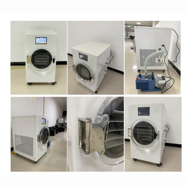 2 kg 6 kg 8 kg 12 kg Máquina de secagem por congelamento para alimentos domésticos