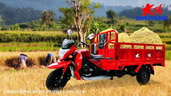 DAYANG 2021 Model Motorized Tricycle 250 CC Gasoline Cargo Tricycle RUITENG Red 28 A